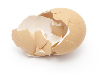 Broken Egg...
